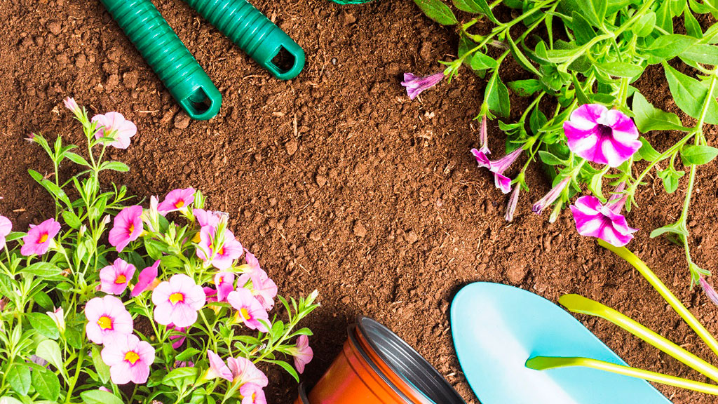 Outdoor Spaces with Luxury-Philippines UAE Gardeners